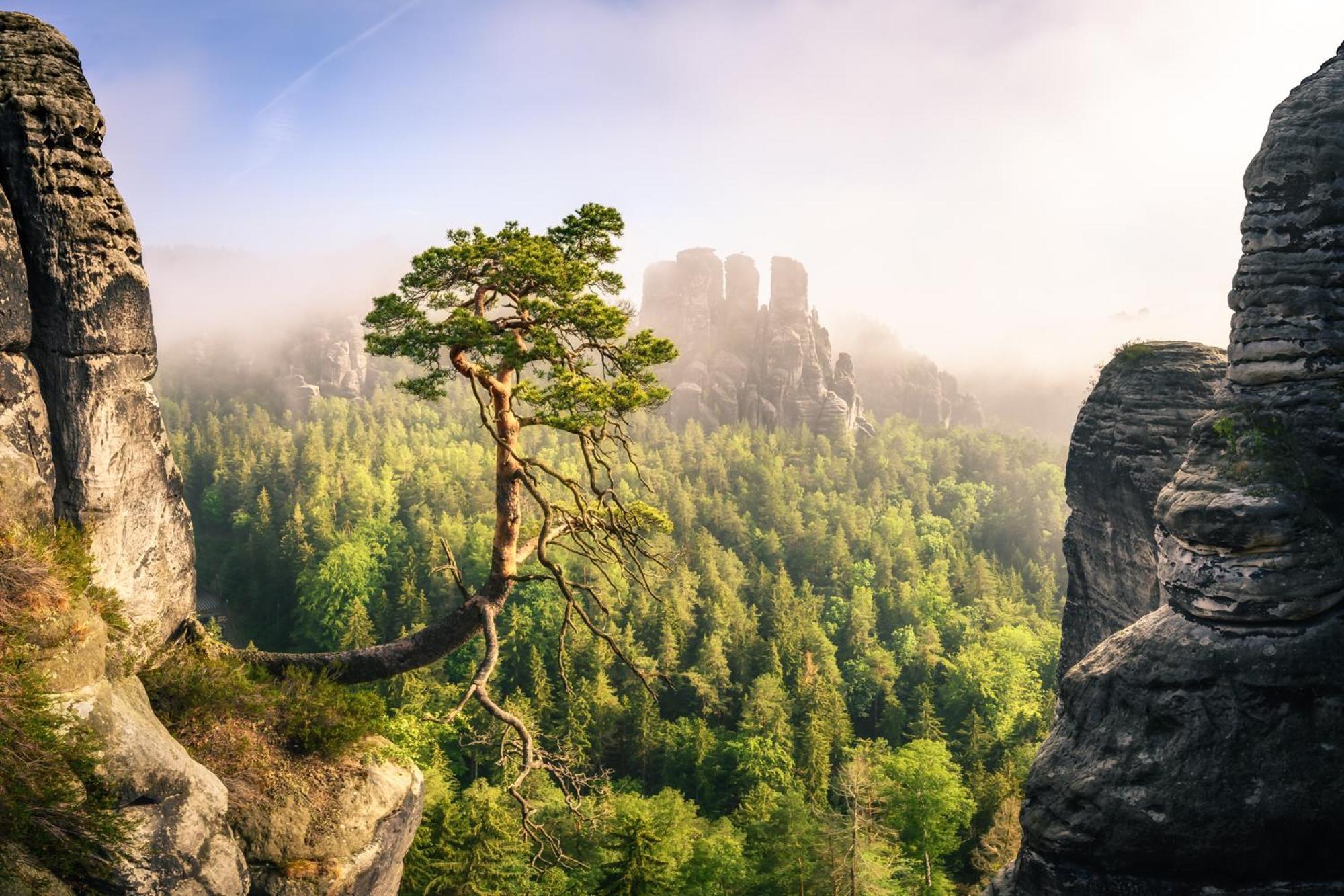 Апартаменти Ferienquartier- Forsthaus Bad Gottleuba-Berggiesshuebel Екстер'єр фото